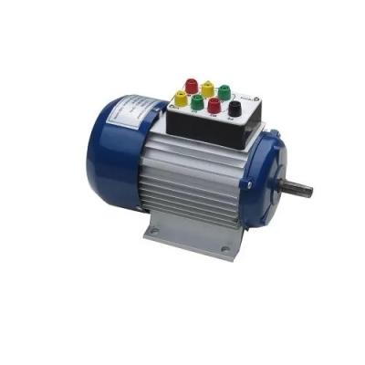 异步三相笼型转子电动机