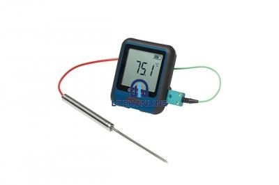 Electronic Thermometer