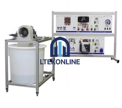 Hydroelectric Plant with Pelton Turbine