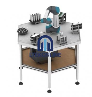 Intelligent Collaborative Micro Factory Training System