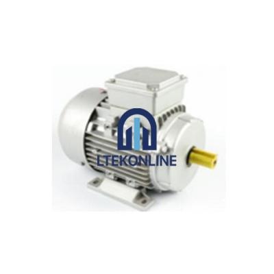 Three-Phase Asynchronous Motor