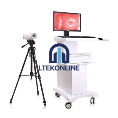 手推车录像电镀